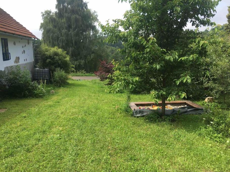 127 Let Stara Chalupa Se Spanim Na Peci A Finskou Saunou Jistebnice Exteriér fotografie