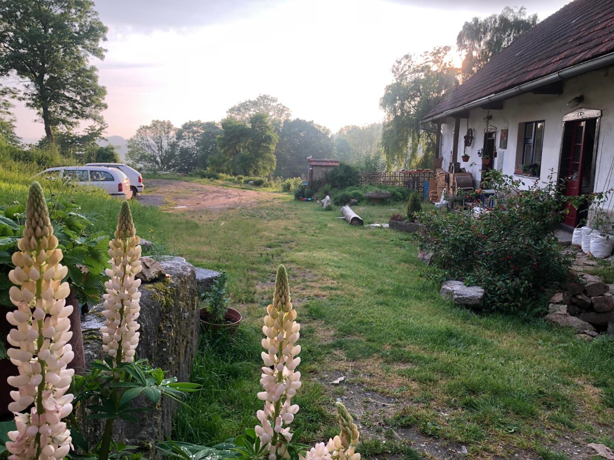 127 Let Stara Chalupa Se Spanim Na Peci A Finskou Saunou Jistebnice Exteriér fotografie